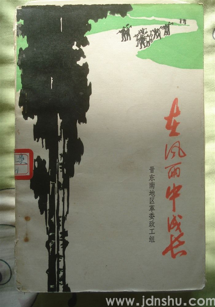 在风雨中成长