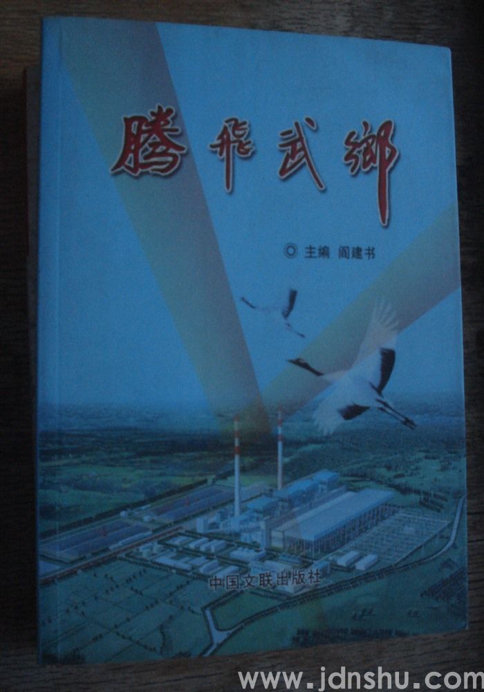 腾飞武乡