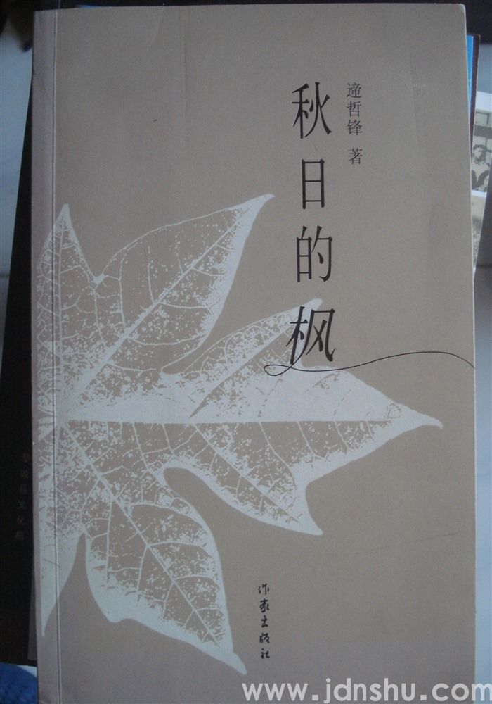 秋日的枫