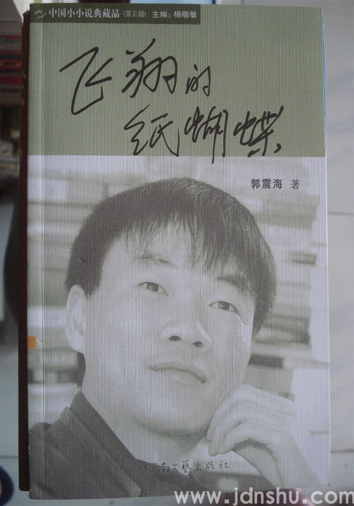 飞翔的纸蝴蝶