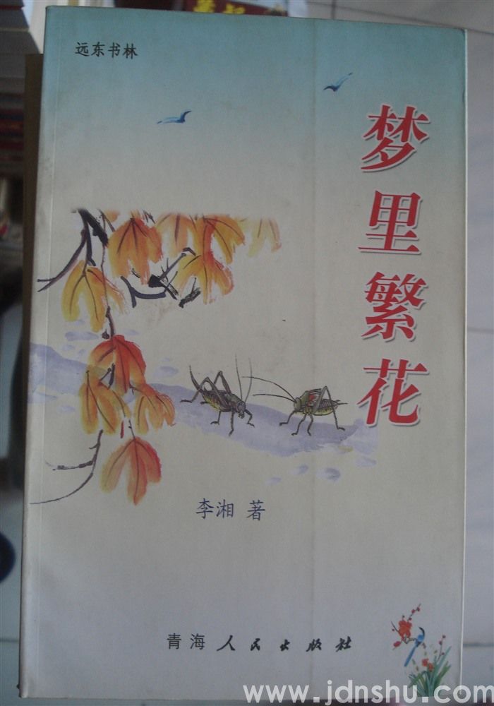 梦里繁花
