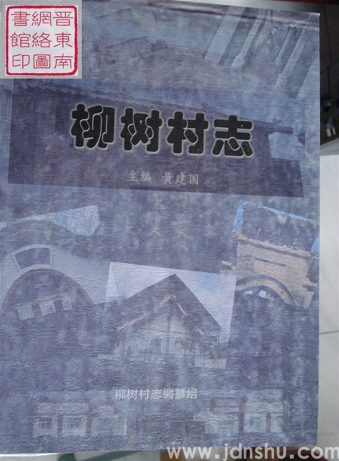 柳树村志