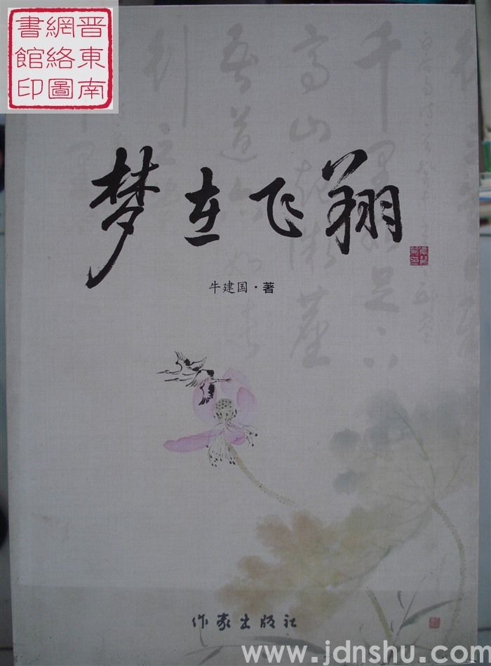 梦在飞翔