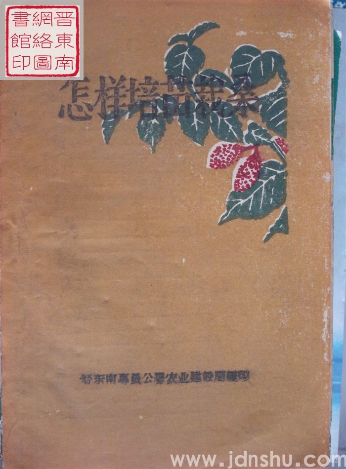 怎样培苗栽桑