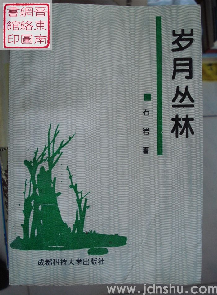 岁月丛林