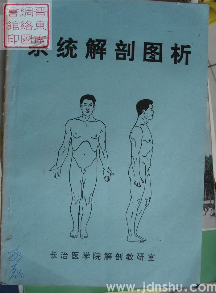 系统解剖图析