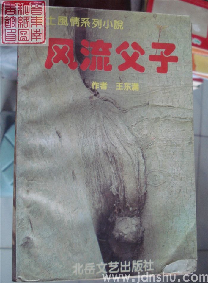风流父子