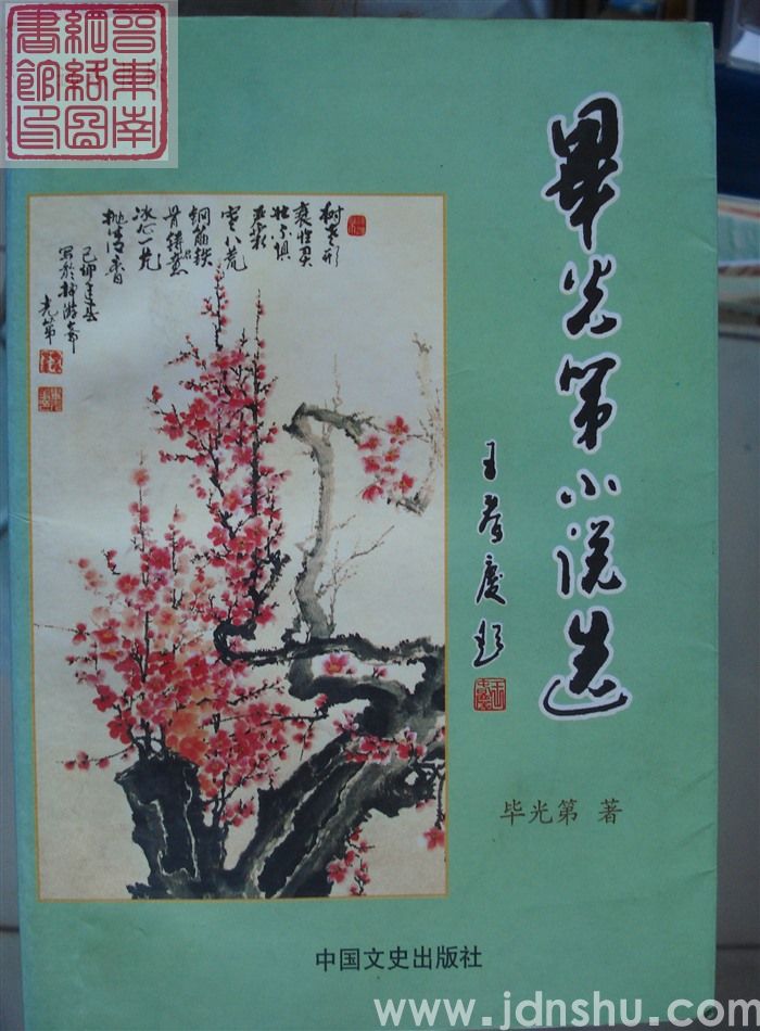 毕光第小说选