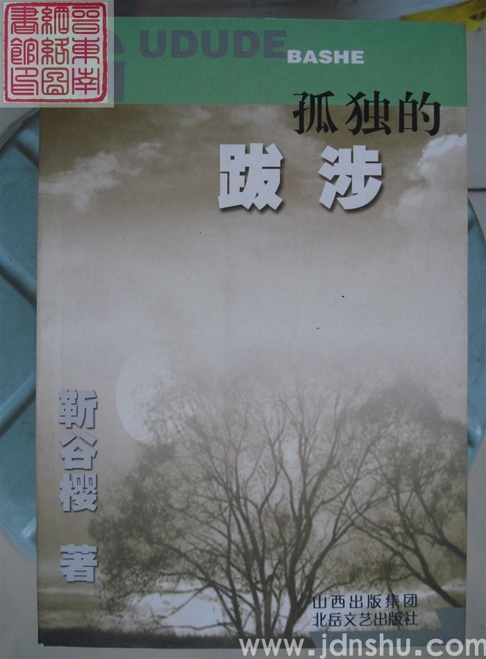 孤独的跋涉