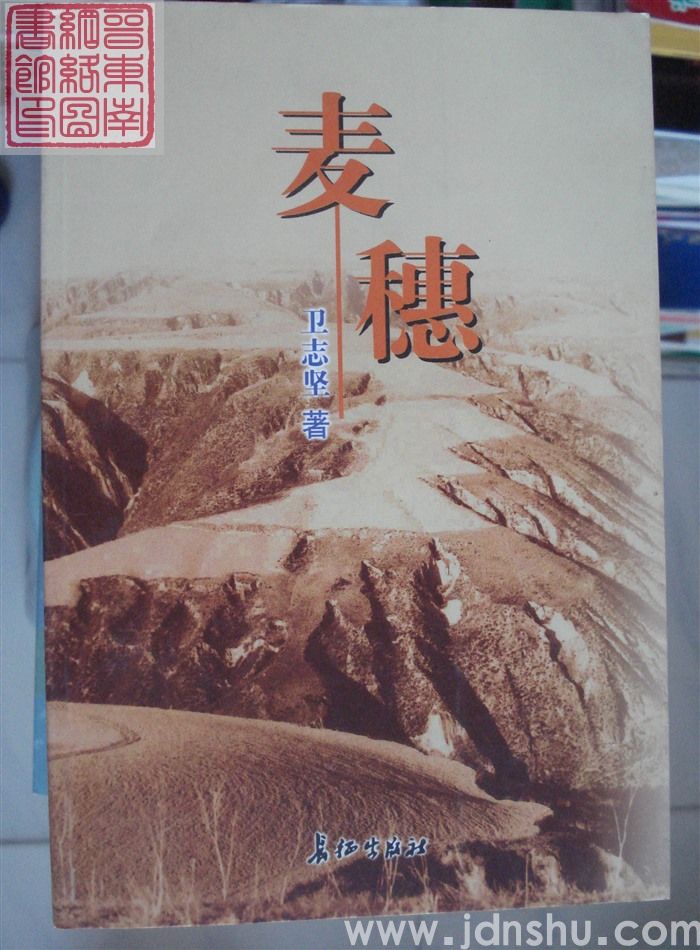 麦穗