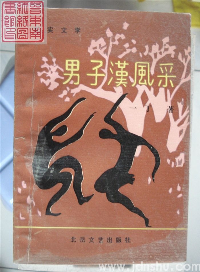 男子汉风采