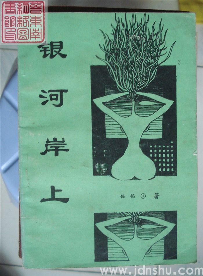 银河岸上