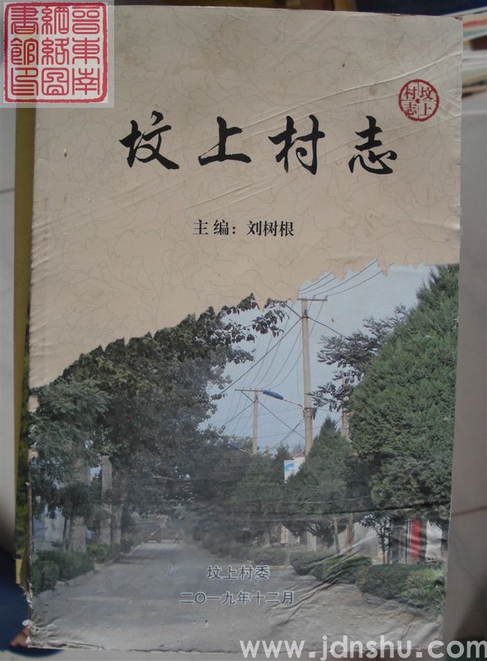 坟上村志