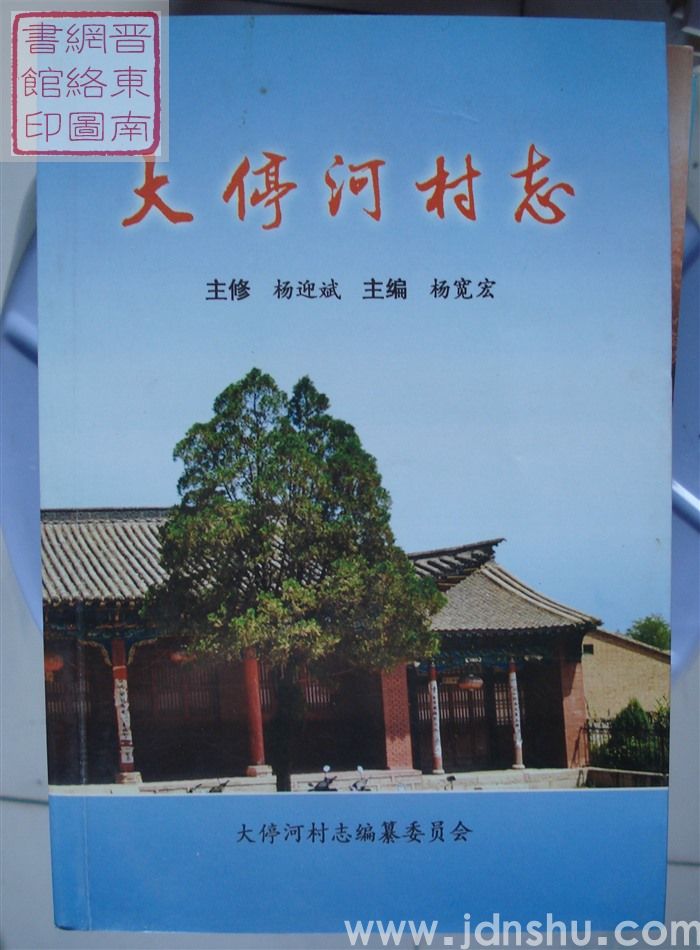 大停河村志