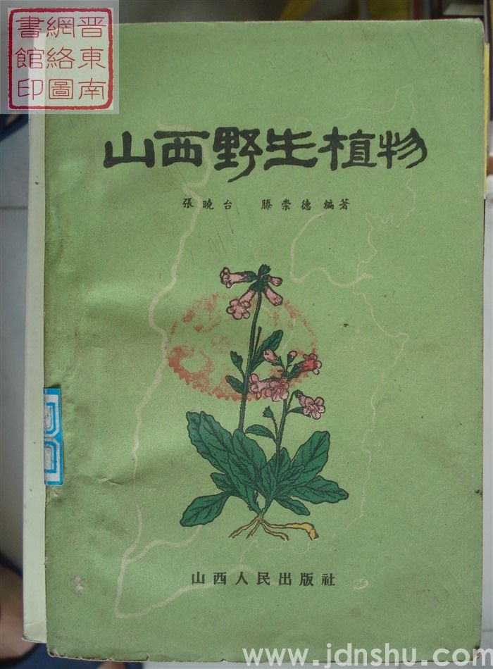 山西野生植物