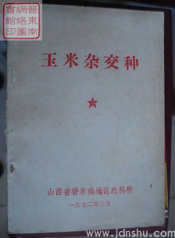 玉米杂交种