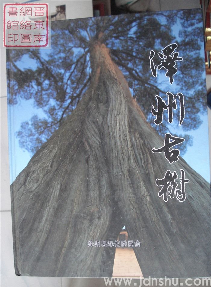 泽州古树