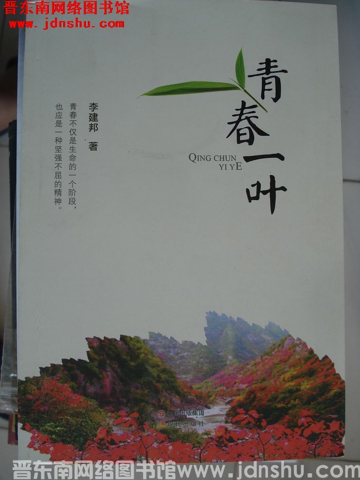青春一叶