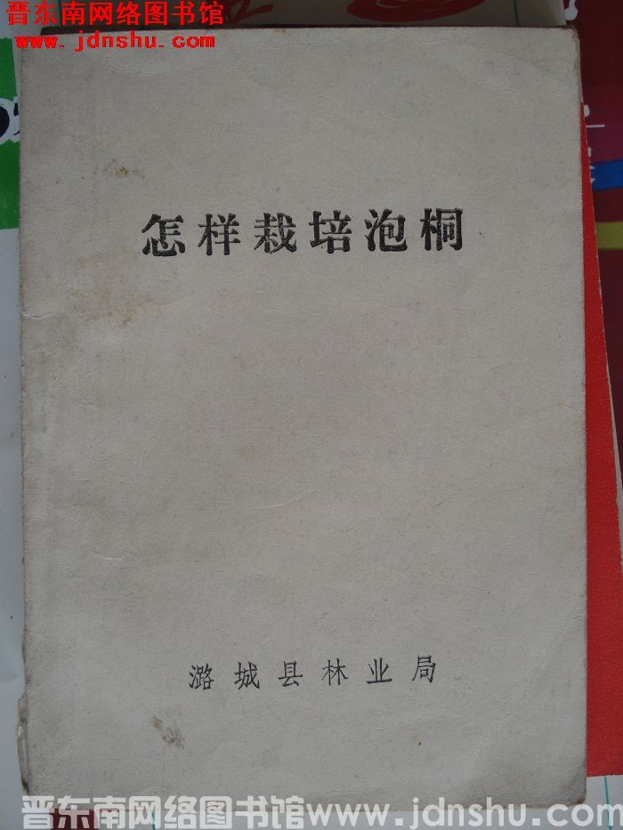 怎样栽培泡桐