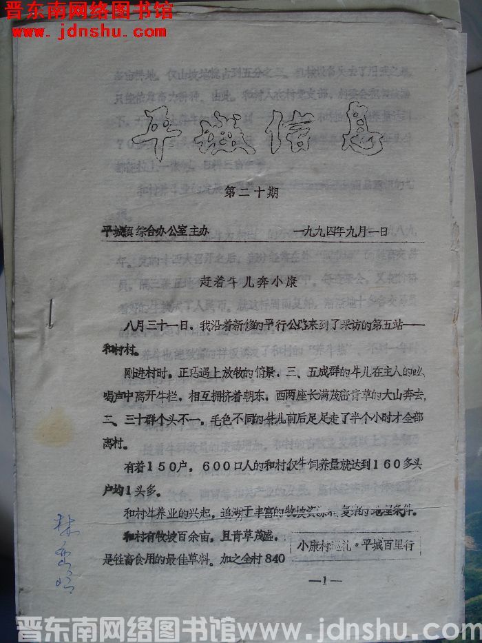 平城信息 1994-20
