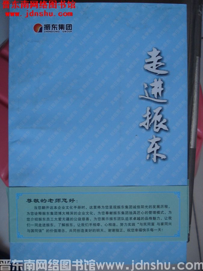 走进振东