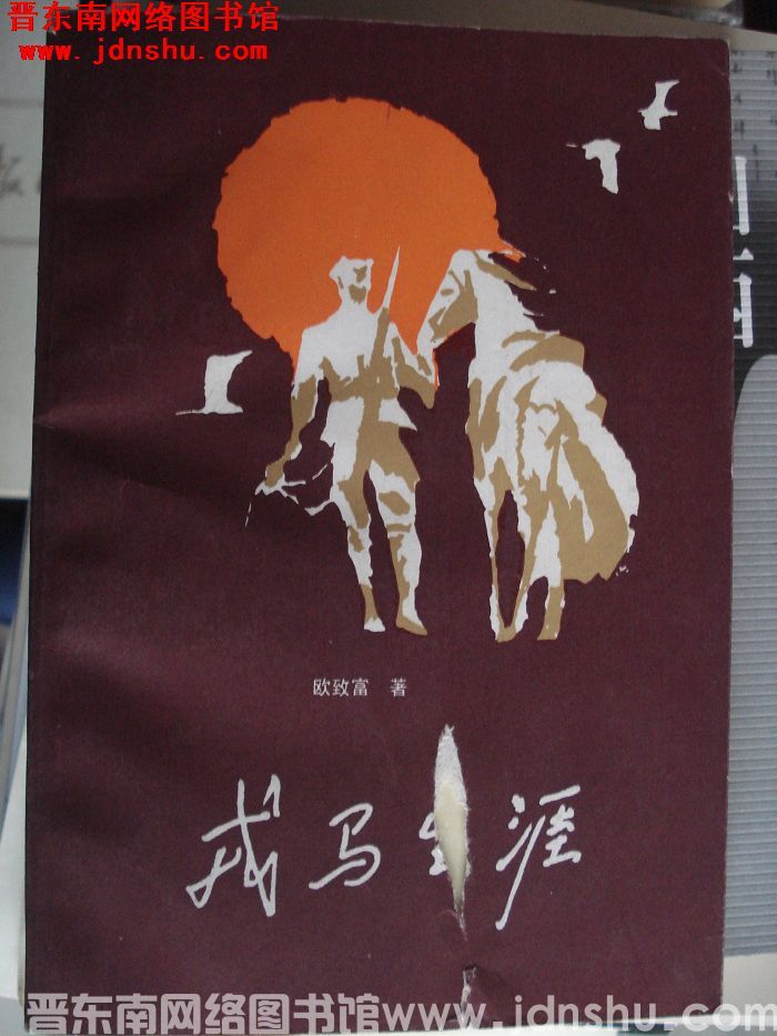 戎马生涯