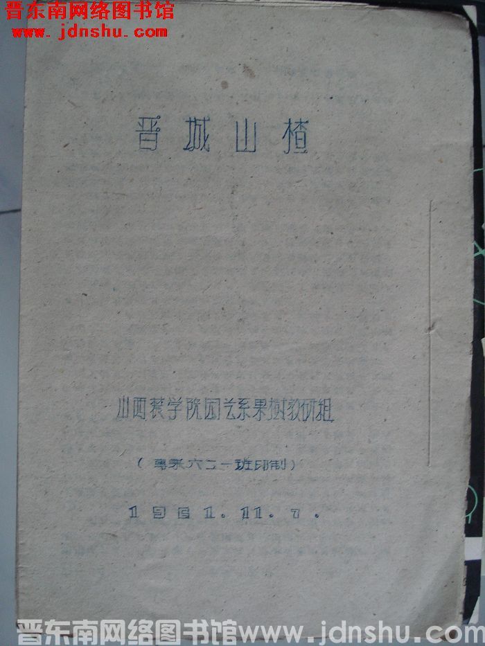 晋城山楂