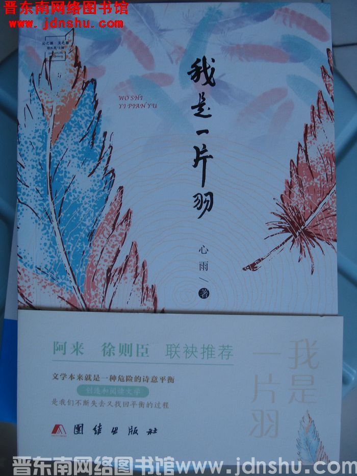 我是一片羽