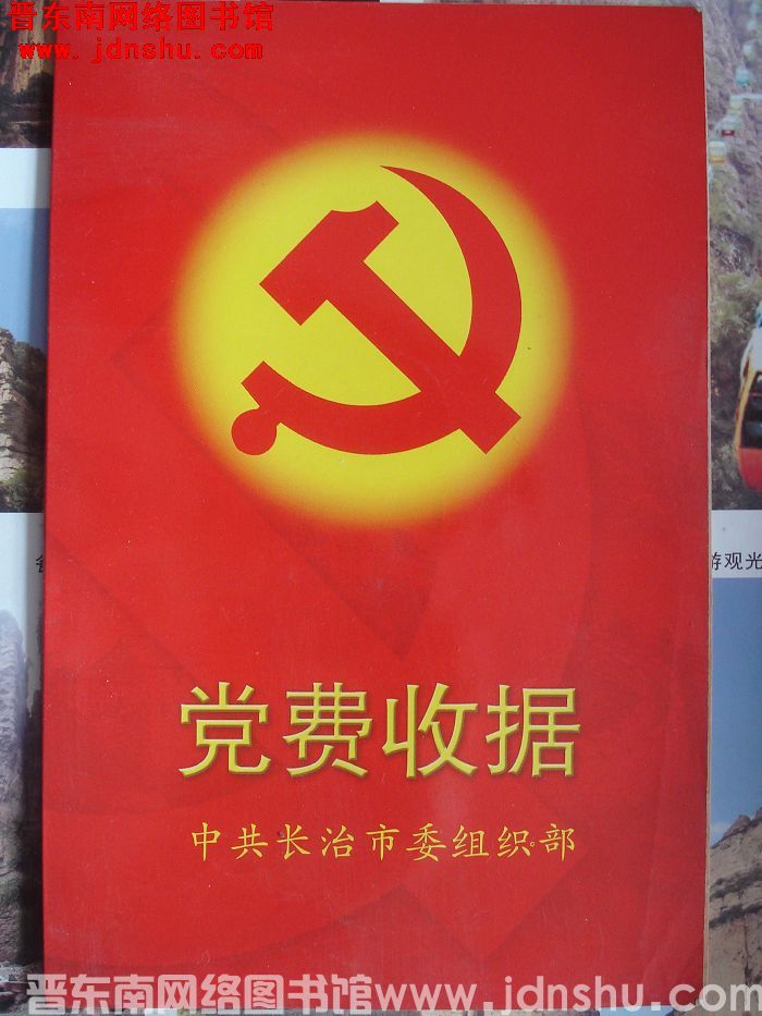 党费收据