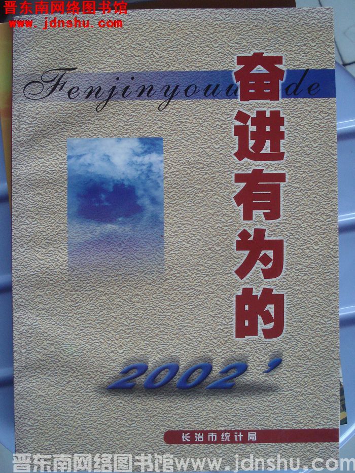 奋进有为的2002