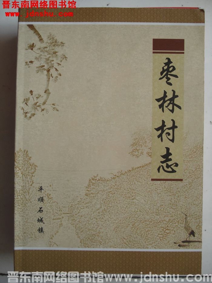 枣林村志