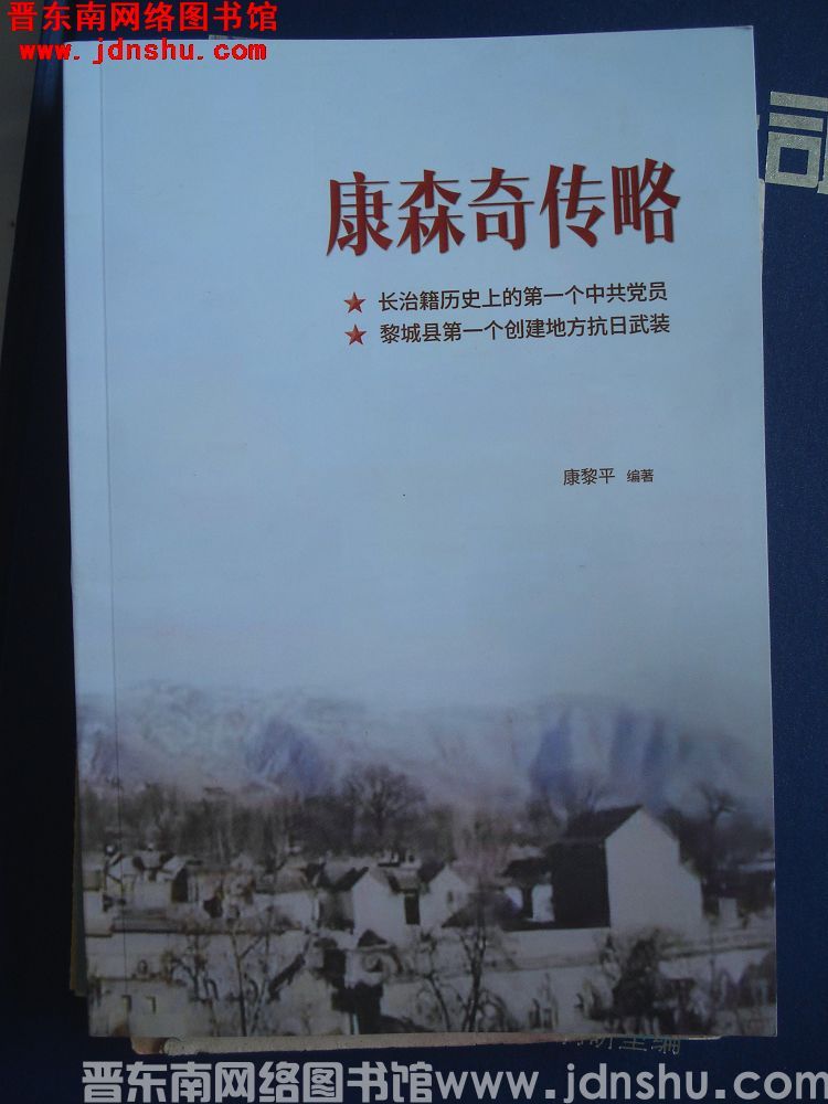 康森奇传略