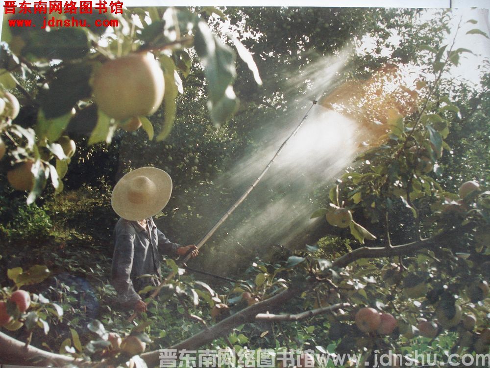 照片：园丁