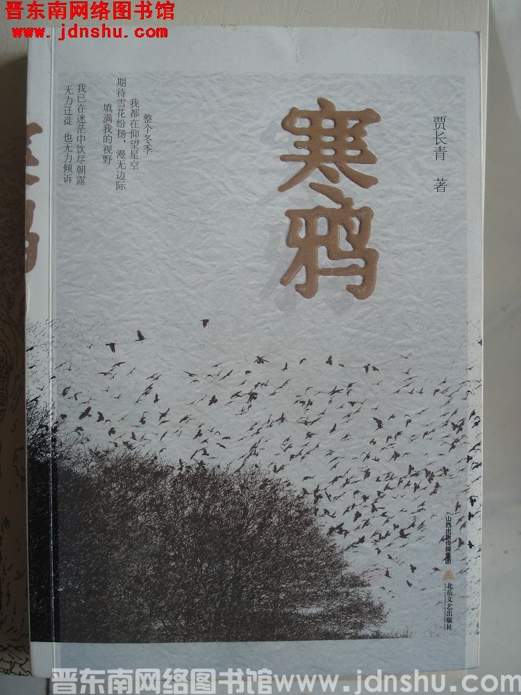寒鸦