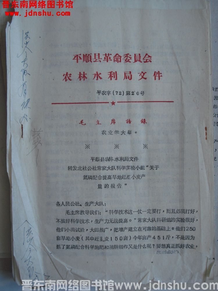 平顺县革命委员会农林水利局文件 平农字（72）第20号：平顺县农林水利局文件转发北社公社常家大队科学实验小组“关于氮磷配合提高旱地赶茬小麦产量的报告”