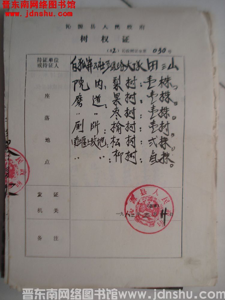 沁源县人民政府树权证（82）沁政树证第030号
