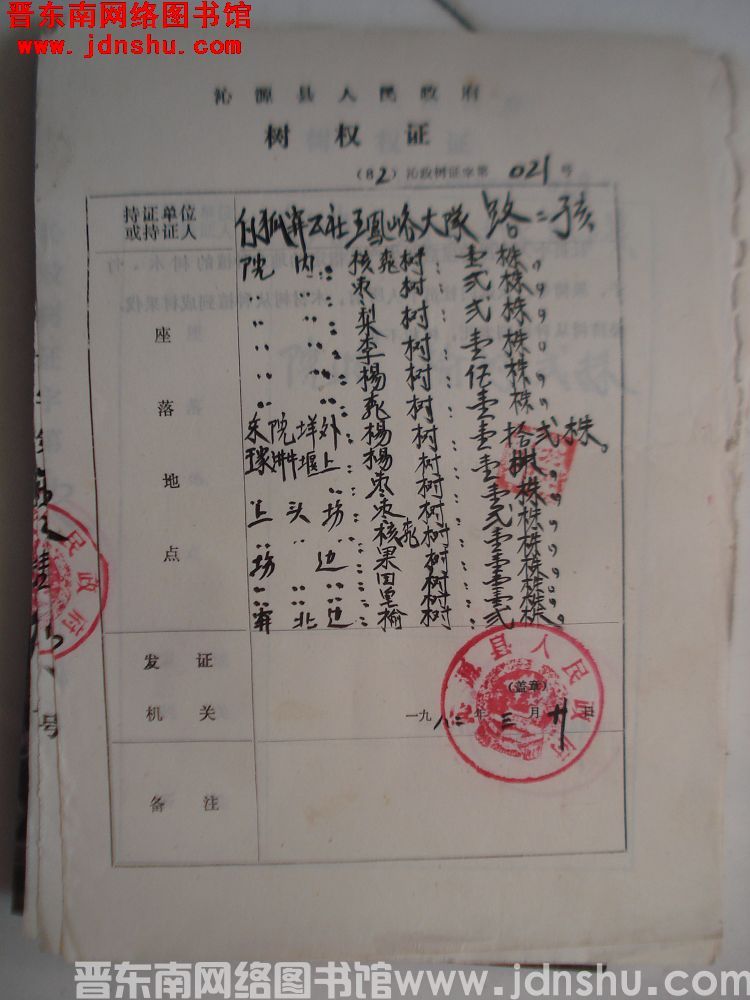 沁源县人民政府树权证（82）沁政树证第021号