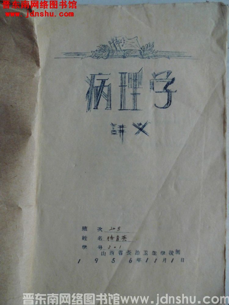 病理学讲义（195611）