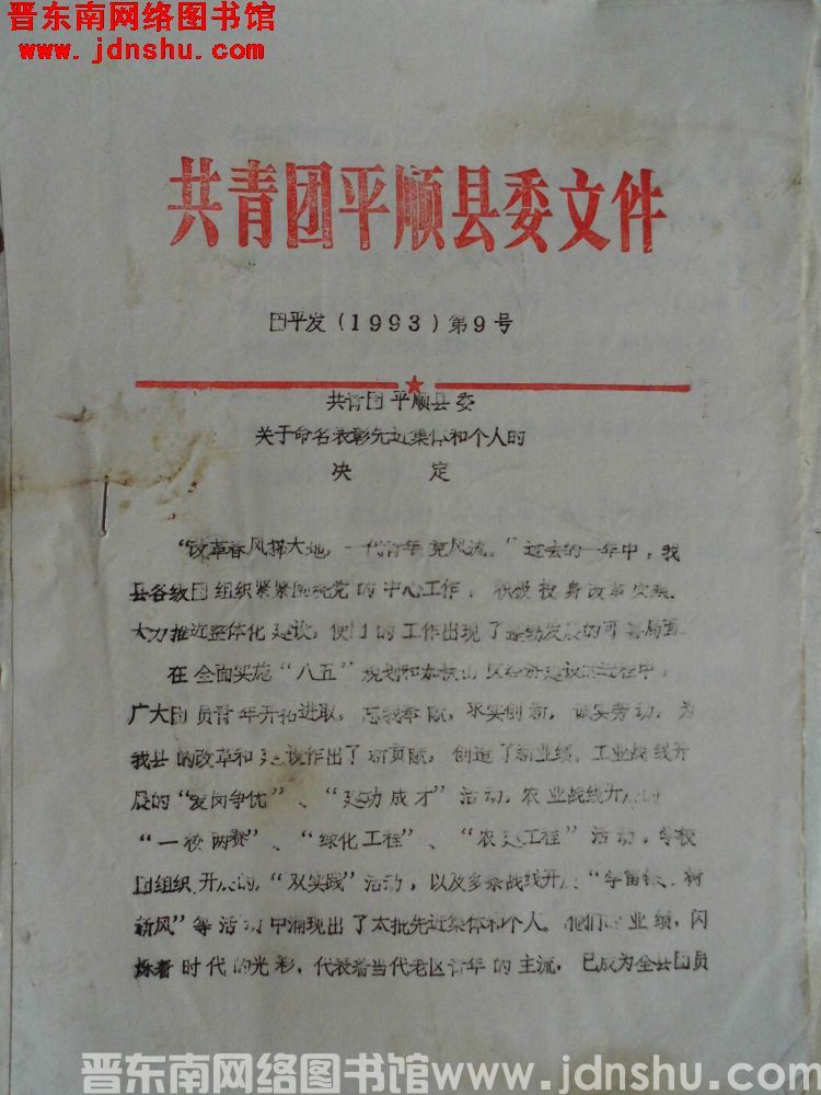 共青团平顺县委文件 团平发（1993）第9号：共青团平顺县委关于命名表彰先进集体和个人的决定