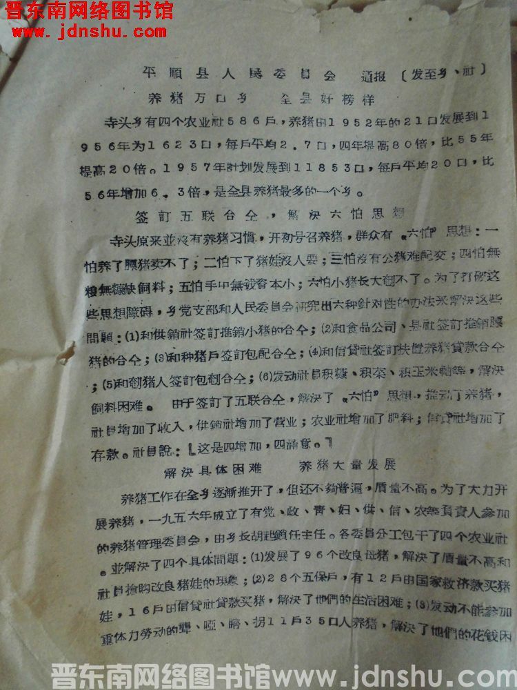 平顺县人民委员会通报（19570123）：养猪万头乡，全县好榜样