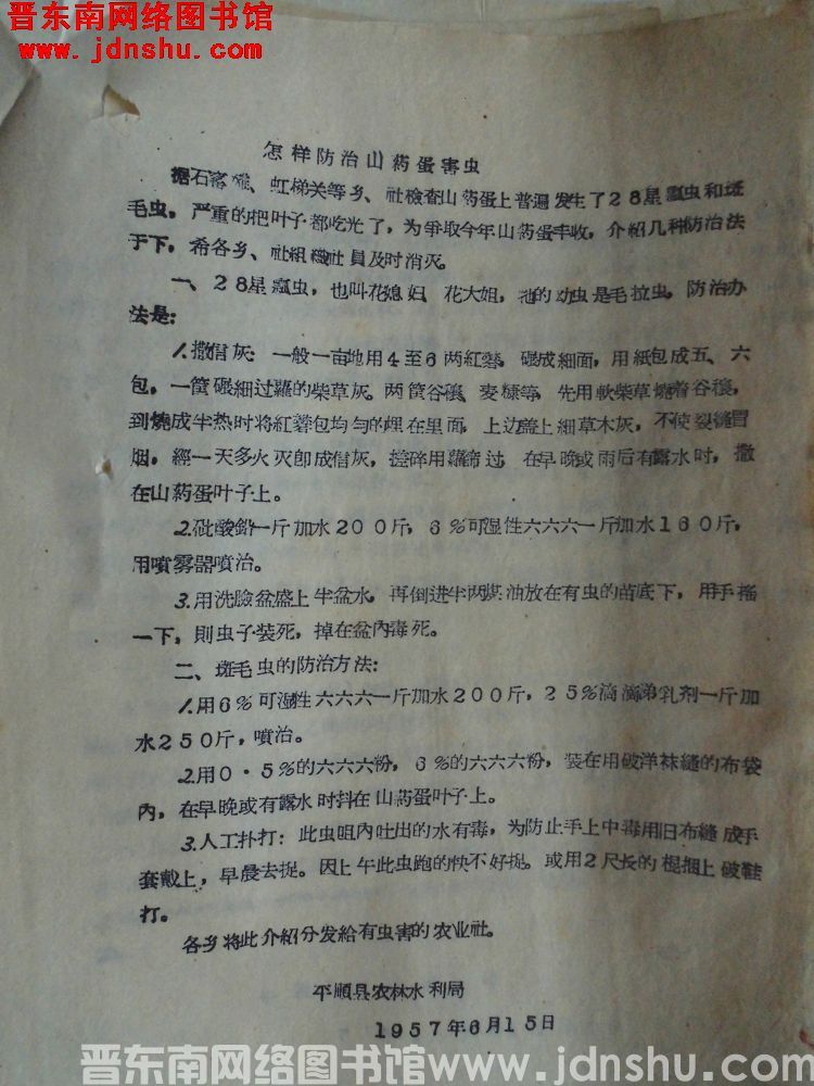 怎样防治山药蛋害虫（19570615）