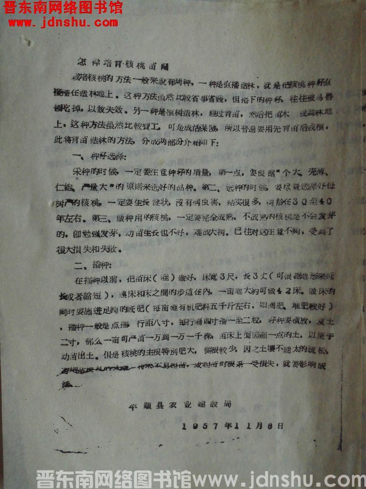 怎样培育核桃苗圃（19571106）