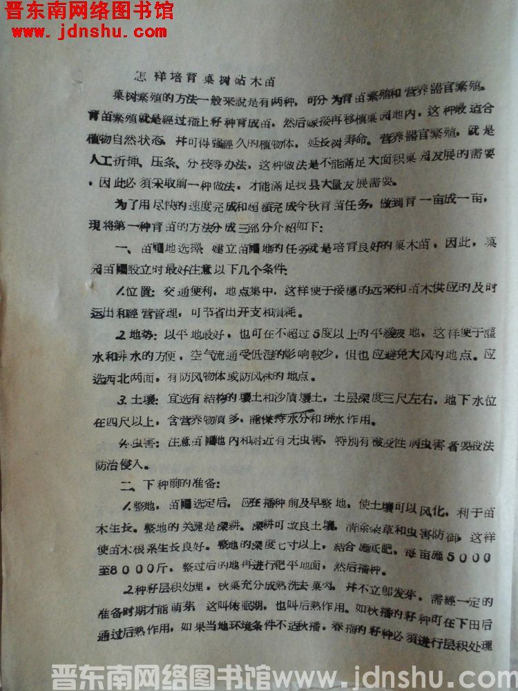 怎样培育果树砧木苗（19571109）