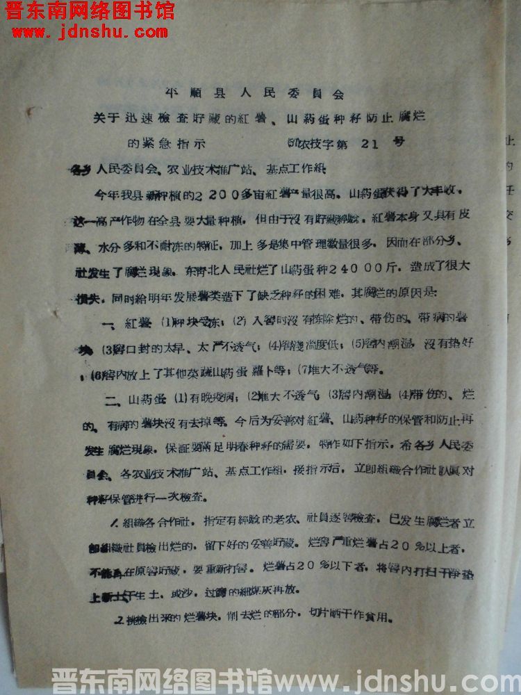 平顺县人民委员会关于迅速检查储藏的红薯、山药蛋种籽防止腐烂的紧急指示（57）农技字第21号