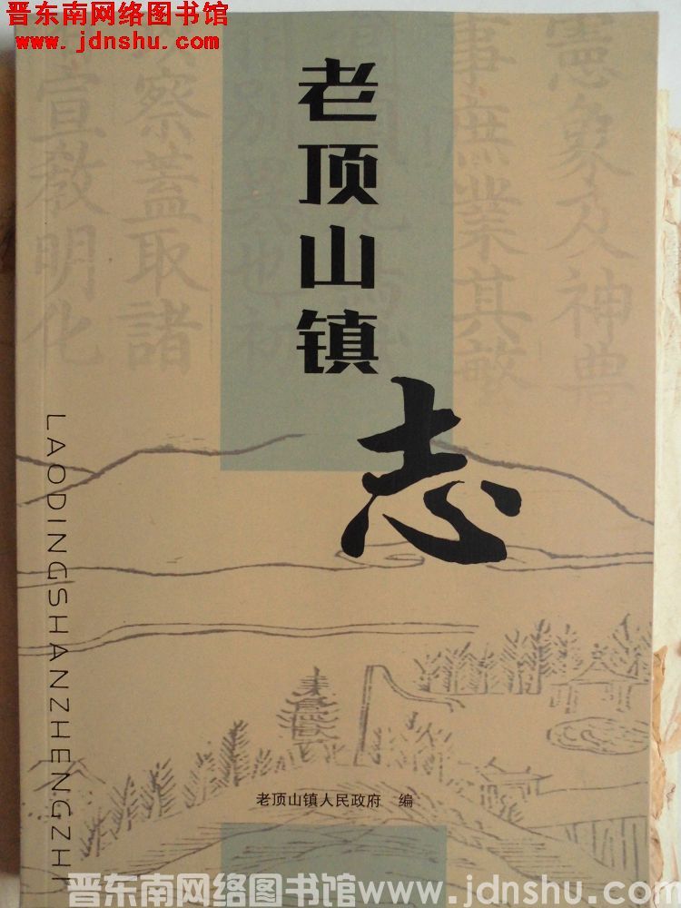 老顶山镇志