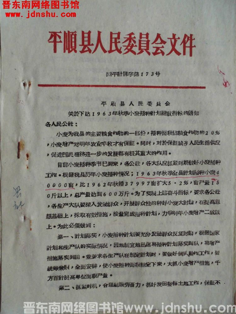 平顺县人民委员会文件（63）平计陈字第173号：平顺县人民委员会关于下达1963年秋季小麦播种计划建